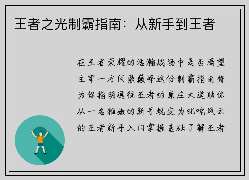 王者之光制霸指南：从新手到王者